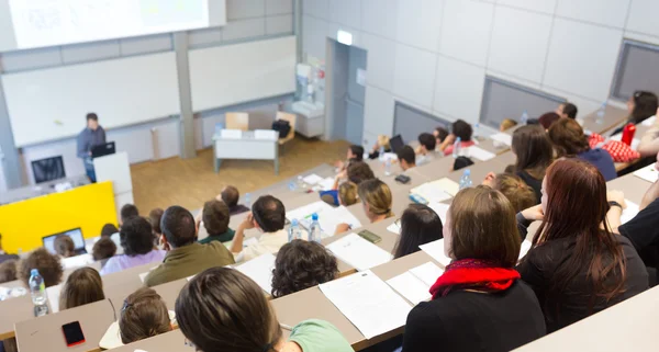 Licence à l'université Bac + 3