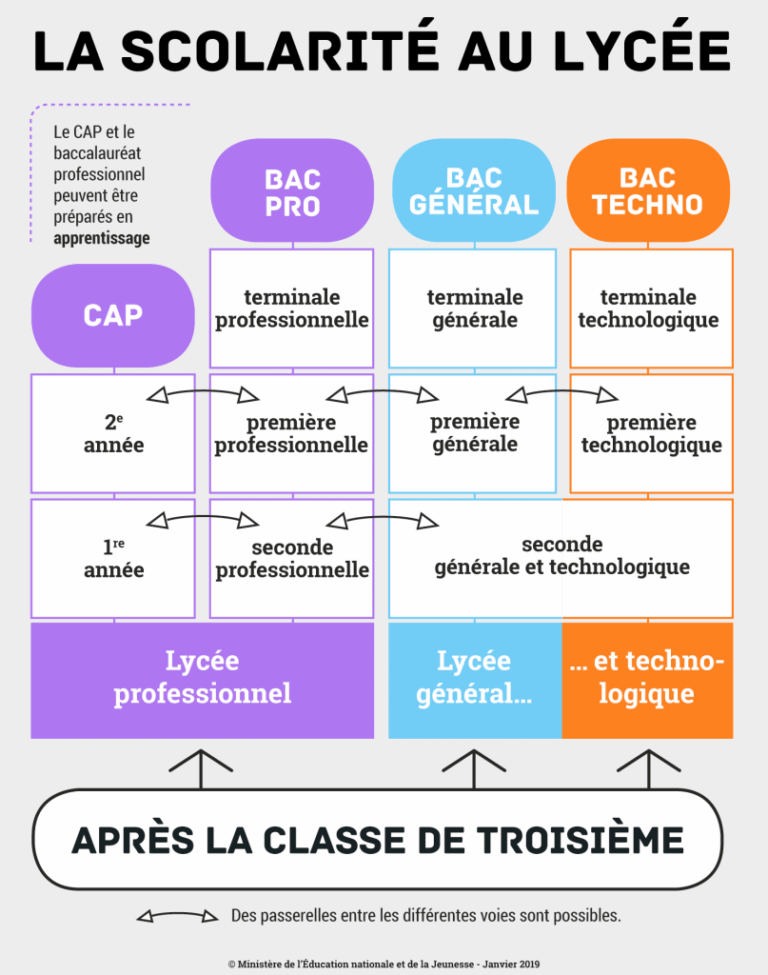 schéma études après la 3ème