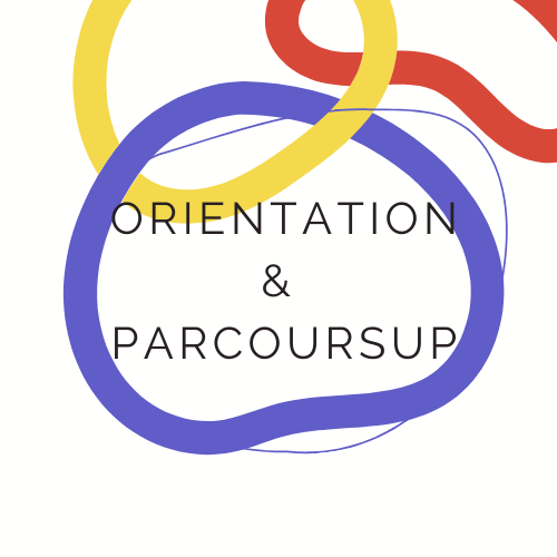 orientation et parcoursup, bilan d'orientation scolaire et suivi de A à Z du dossier parcoursup pour maximiser ses chances d'avoir son premier voeu